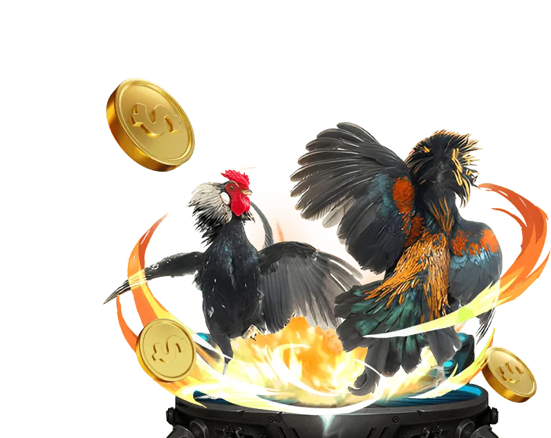 Các loại kèo đá gà phổ biến tại 88go game